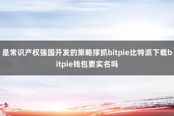   是常识产权强国开发的策略撑抓bitpie比特派下载bitpie钱包要实名吗