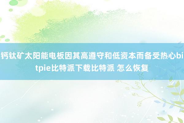   钙钛矿太阳能电板因其高遵守和低资本而备受热心bitpie比特派下载比特派 怎么恢复