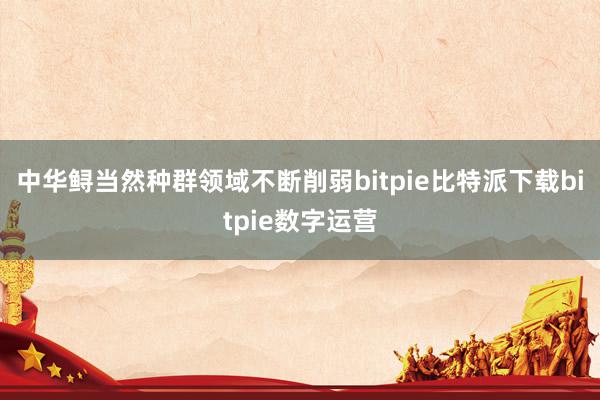   中华鲟当然种群领域不断削弱bitpie比特派下载bitpie数字运营