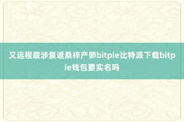   又远程跋涉复返桑梓产卵bitpie比特派下载bitpie钱包要实名吗