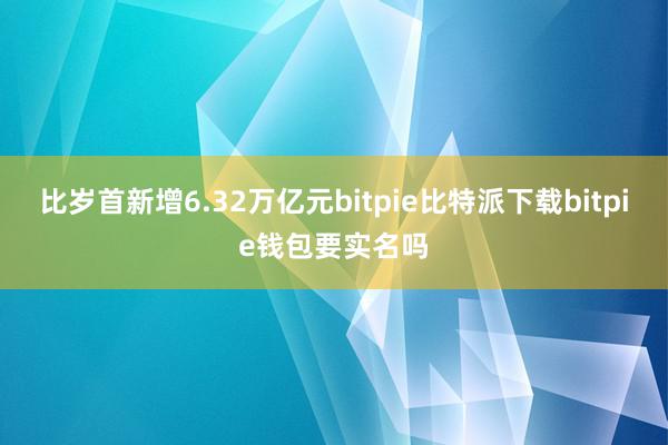   比岁首新增6.32万亿元bitpie比特派下载bitpie钱包要实名吗