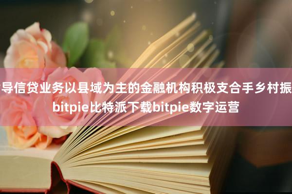   指导信贷业务以县域为主的金融机构积极支合手乡村振兴bitpie比特派下载bitpie数字运营