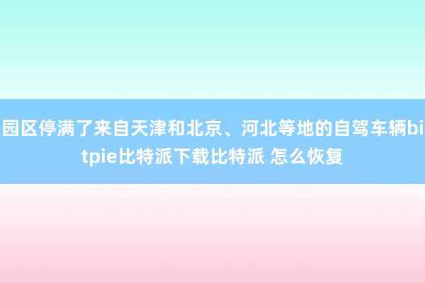   园区停满了来自天津和北京、河北等地的自驾车辆bitpie比特派下载比特派 怎么恢复