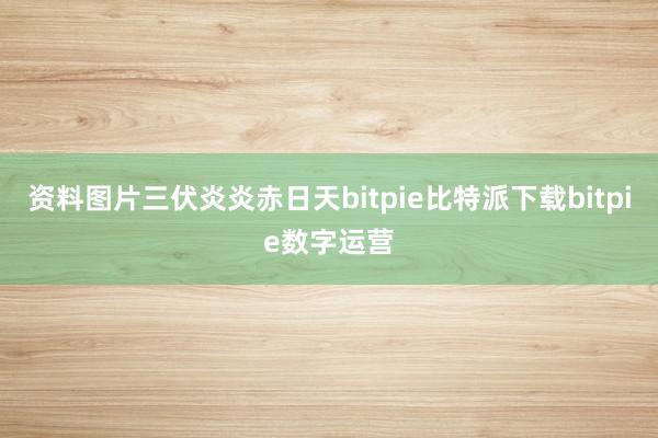   资料图片三伏炎炎赤日天bitpie比特派下载bitpie数字运营