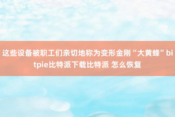   这些设备被职工们亲切地称为变形金刚“大黄蜂”bitpie比特派下载比特派 怎么恢复