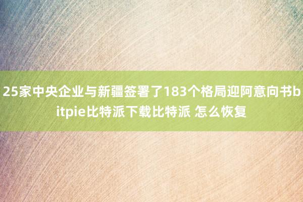   25家中央企业与新疆签署了183个格局迎阿意向书bitpie比特派下载比特派 怎么恢复