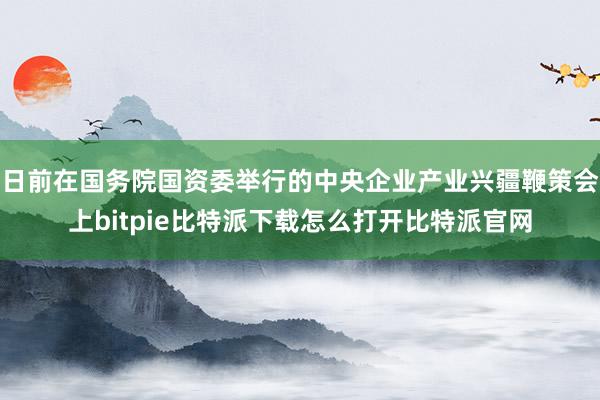   日前在国务院国资委举行的中央企业产业兴疆鞭策会上bitpie比特派下载怎么打开比特派官网