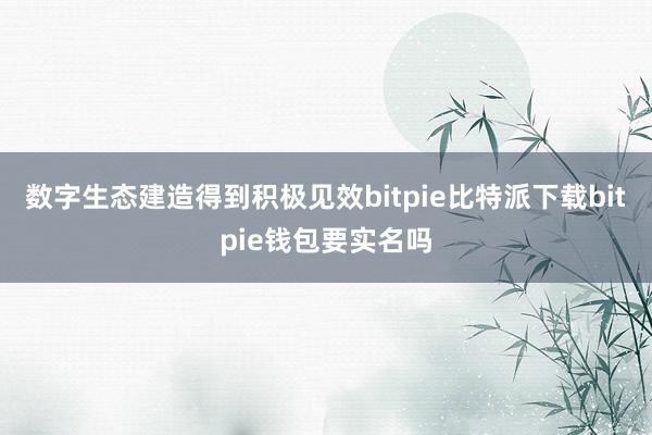   数字生态建造得到积极见效bitpie比特派下载bitpie钱包要实名吗