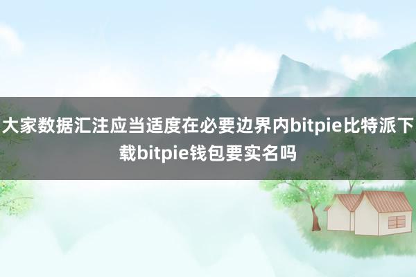 大家数据汇注应当适度在必要边界内bitpie比特派下载bitpie钱包要实名吗