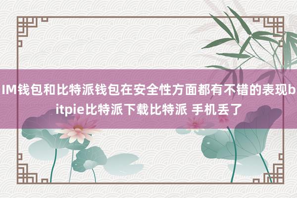 IM钱包和比特派钱包在安全性方面都有不错的表现bitpie比特派下载比特派 手机丢了