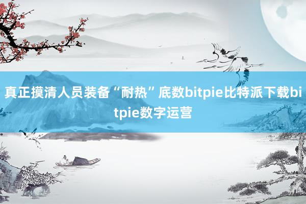   真正摸清人员装备“耐热”底数bitpie比特派下载bitpie数字运营