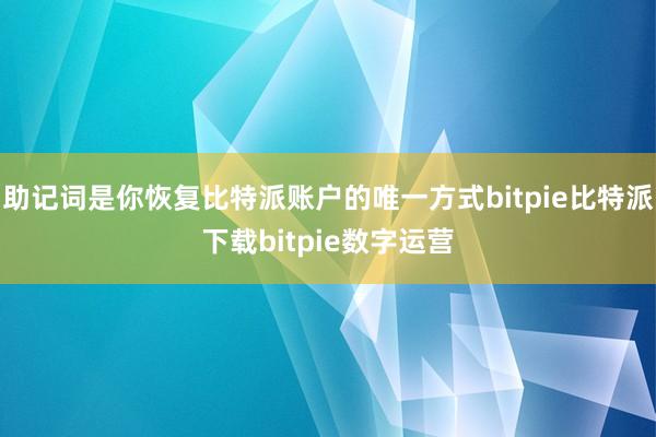 助记词是你恢复比特派账户的唯一方式bitpie比特派下载bitpie数字运营