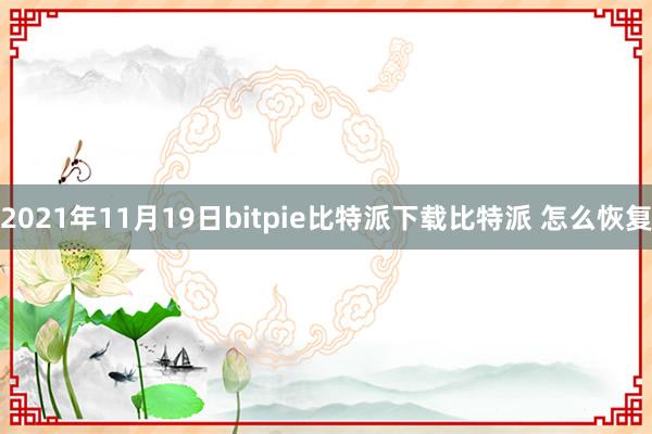 2021年11月19日bitpie比特派下载比特派 怎么恢复