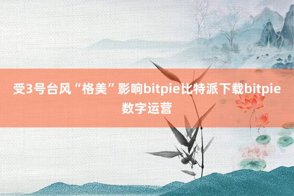 受3号台风“格美”影响bitpie比特派下载bitpie数字运营