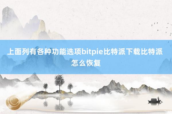 上面列有各种功能选项bitpie比特派下载比特派 怎么恢复