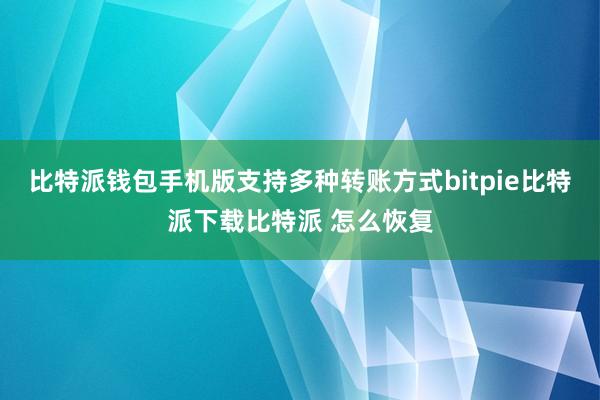   比特派钱包手机版支持多种转账方式bitpie比特派下载比特派 怎么恢复