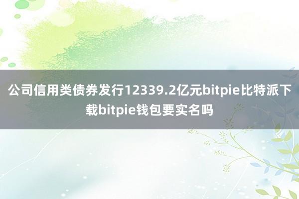 公司信用类债券发行12339.2亿元bitpie比特派下载bitpie钱包要实名吗