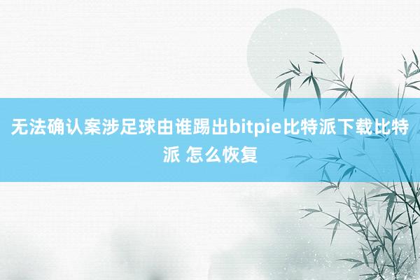 无法确认案涉足球由谁踢出bitpie比特派下载比特派 怎么恢复