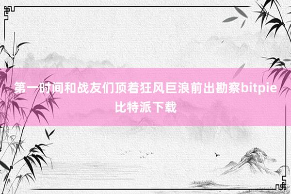   第一时间和战友们顶着狂风巨浪前出勘察bitpie比特派下载