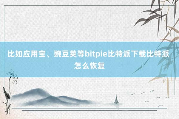   比如应用宝、豌豆荚等bitpie比特派下载比特派 怎么恢复