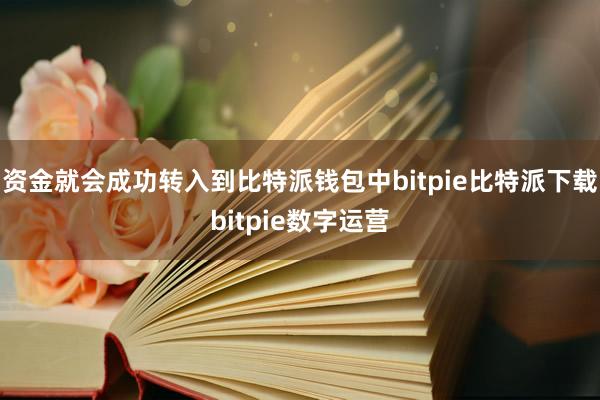 资金就会成功转入到比特派钱包中bitpie比特派下载bitpie数字运营