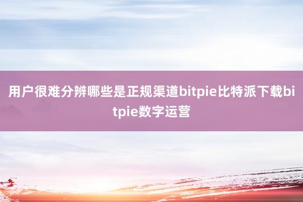   用户很难分辨哪些是正规渠道bitpie比特派下载bitpie数字运营