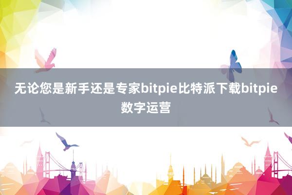 无论您是新手还是专家bitpie比特派下载bitpie数字运营