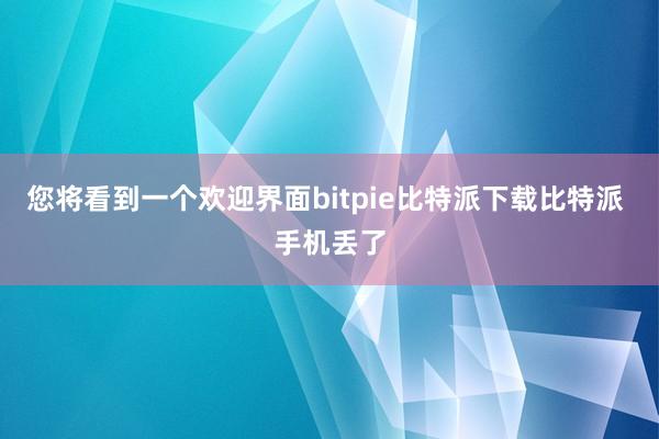   您将看到一个欢迎界面bitpie比特派下载比特派 手机丢了