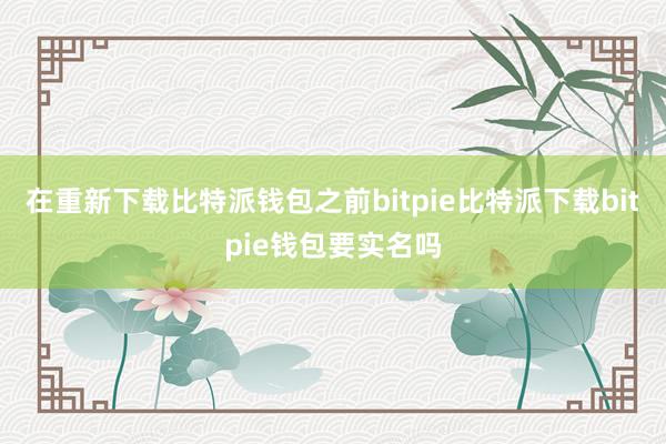   在重新下载比特派钱包之前bitpie比特派下载bitpie钱包要实名吗