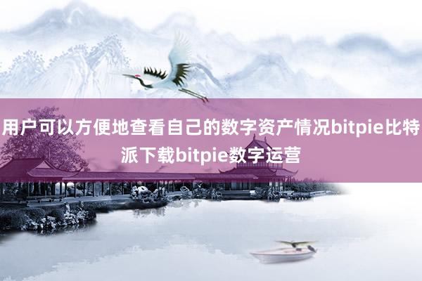 用户可以方便地查看自己的数字资产情况bitpie比特派下载bitpie数字运营