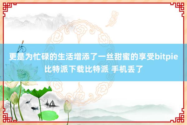 更是为忙碌的生活增添了一丝甜蜜的享受bitpie比特派下载比特派 手机丢了