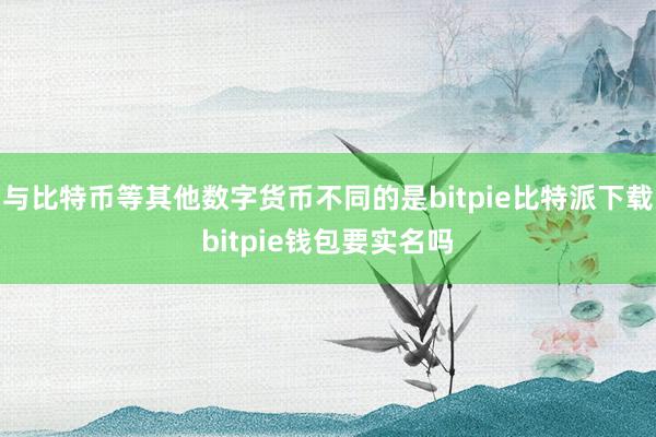   与比特币等其他数字货币不同的是bitpie比特派下载bitpie钱包要实名吗