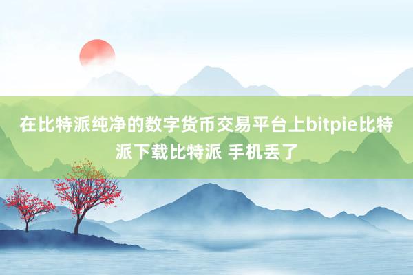   在比特派纯净的数字货币交易平台上bitpie比特派下载比特派 手机丢了