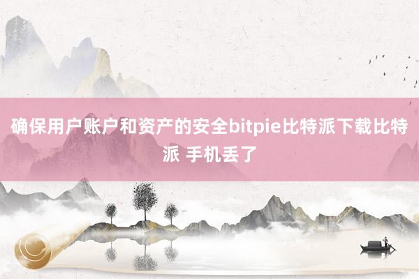   确保用户账户和资产的安全bitpie比特派下载比特派 手机丢了