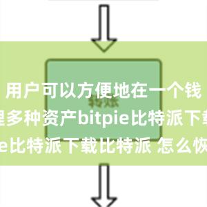 用户可以方便地在一个钱包中管理多种资产bitpie比特派下载比特派 怎么恢复