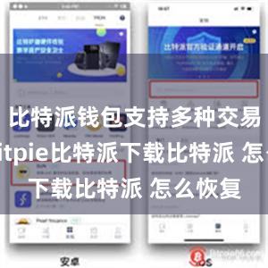 比特派钱包支持多种交易方式bitpie比特派下载比特派 怎么恢复