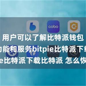 用户可以了解比特派钱包的最新功能和服务bitpie比特派下载比特派 怎么恢复