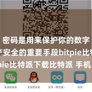 密码是用来保护你的数字货币资产安全的重要手段bitpie比特派下载比特派 手机丢了