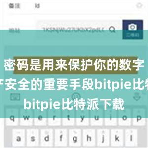   密码是用来保护你的数字货币资产安全的重要手段bitpie比特派下载