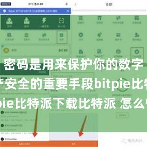   密码是用来保护你的数字货币资产安全的重要手段bitpie比特派下载比特派 怎么恢复