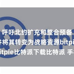   呼吁北约扩充和整合预备役力量并将其转变为战略资源bitpie比特派下载比特派 手机丢了