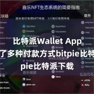 比特派Wallet App还提供了多种付款方式bitpie比特派下载