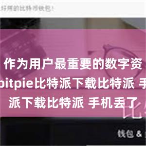 作为用户最重要的数字资产之一bitpie比特派下载比特派 手机丢了