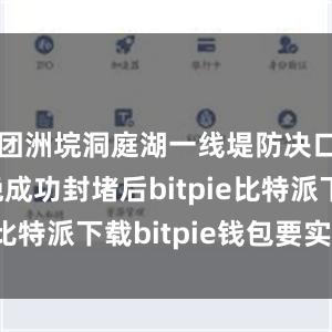 团洲垸洞庭湖一线堤防决口于8日晚成功封堵后bitpie比特派下载bitpie钱包要实名吗