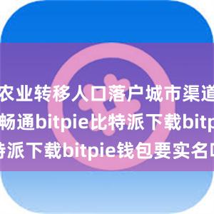   农业转移人口落户城市渠道进一步畅通bitpie比特派下载bitpie钱包要实名吗