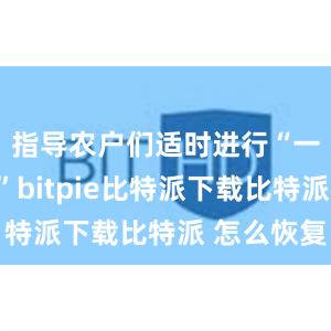   指导农户们适时进行“一喷多防”bitpie比特派下载比特派 怎么恢复