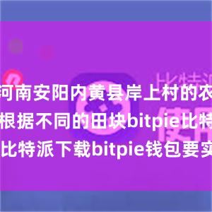   河南安阳内黄县岸上村的农技人员正根据不同的田块bitpie比特派下载bitpie钱包要实名吗