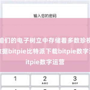 咱们的电子树立中存储着多数珍视的数据bitpie比特派下载bitpie数字运营