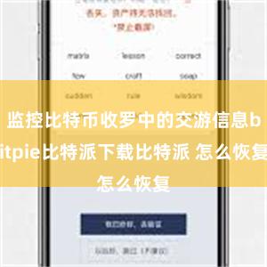 监控比特币收罗中的交游信息bitpie比特派下载比特派 怎么恢复