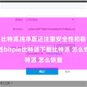 比特派纯净版还注重安全性和稳定性bitpie比特派下载比特派 怎么恢复